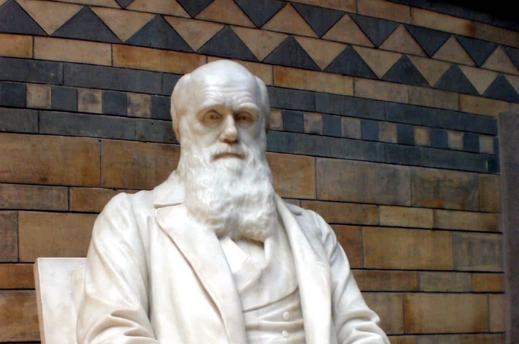 photo of Darwin statue