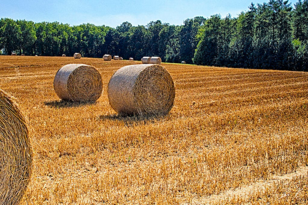 photo of hay bales