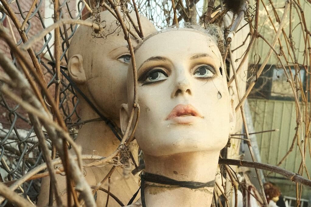photo of mannequin head and torso