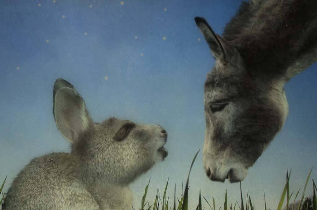 illustration of a donkey and a rabbit looking at each other