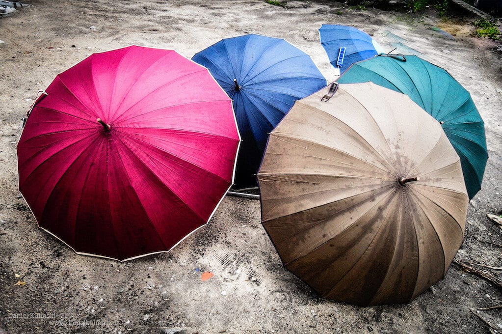 photo of open umbrellas