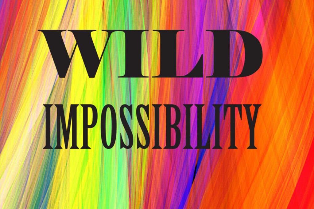THE WILD IMPOSSIBILITY book cover