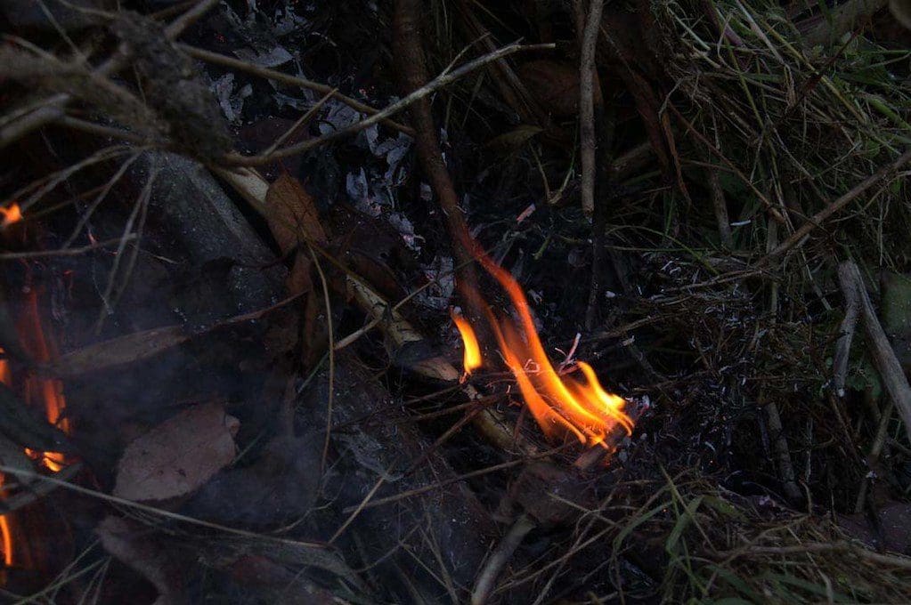 photo of fire wisp
