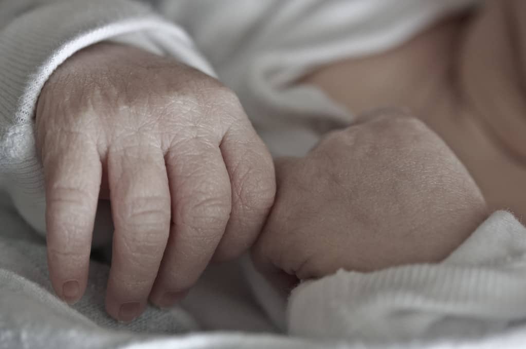 photo of a baby's hands