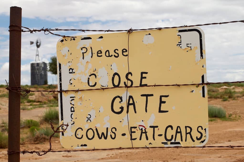 photo of "Cows Eat Cars" sign