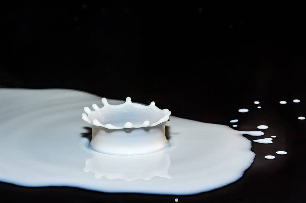 photo of milk splash