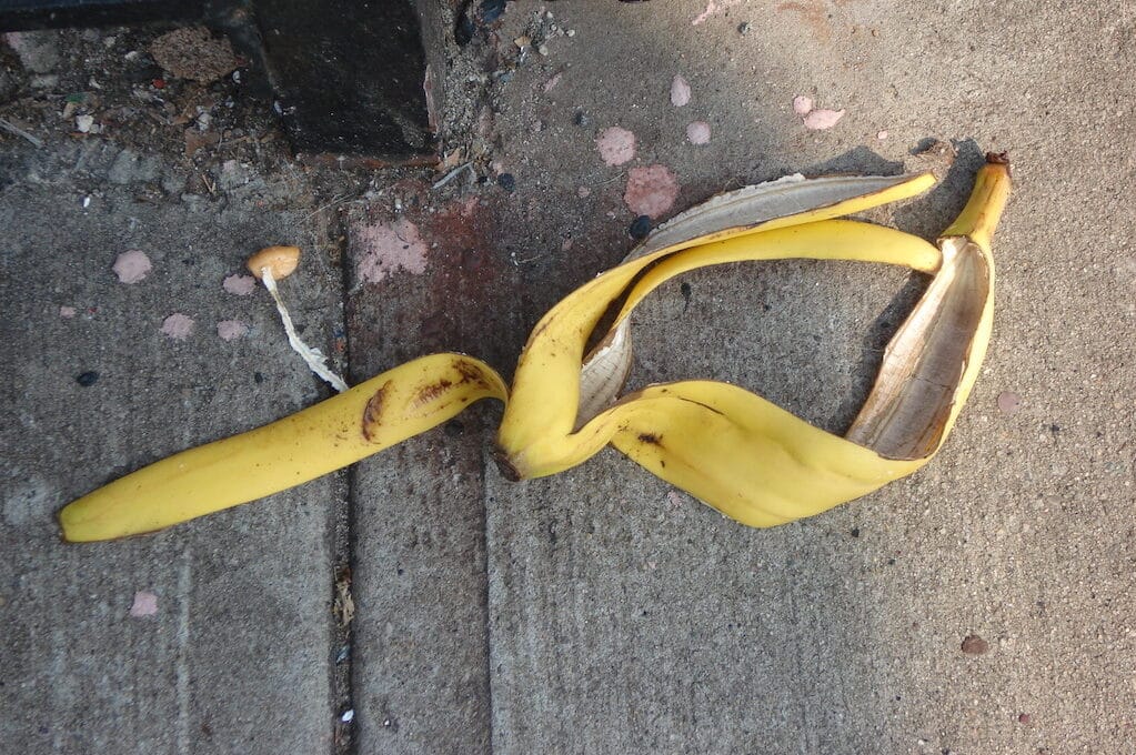photo of banana peel on the ground