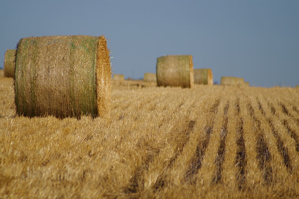 photo of hay bales