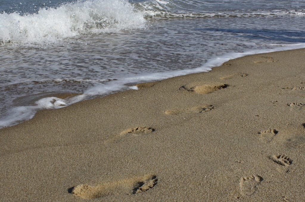 photo of footprints in sand at beach