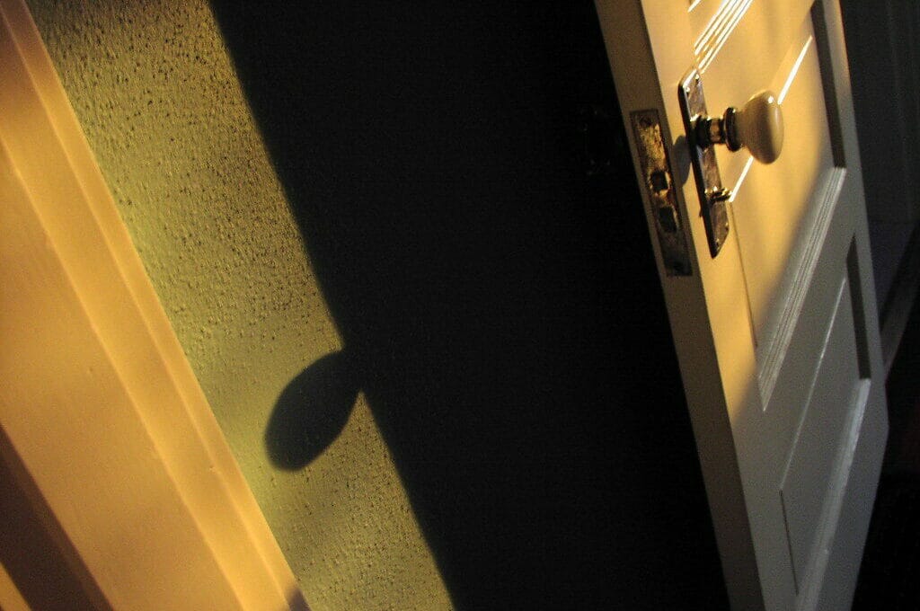 photo of a door ajar with shadowy interior