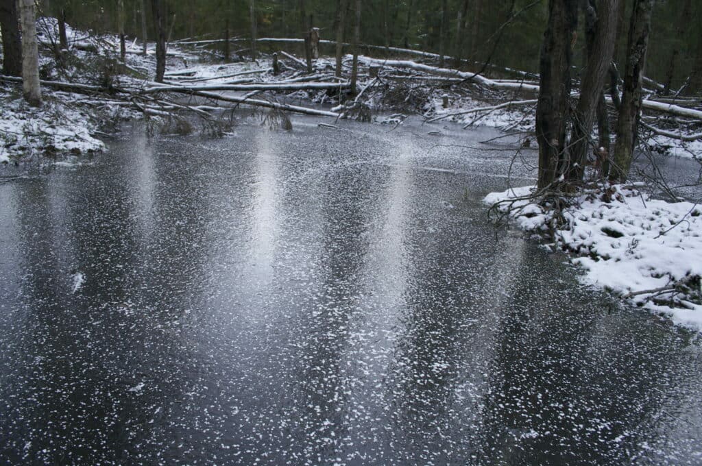 photo of frozen pond