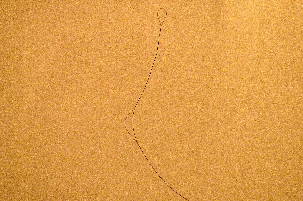 photo of hair on a shower wall