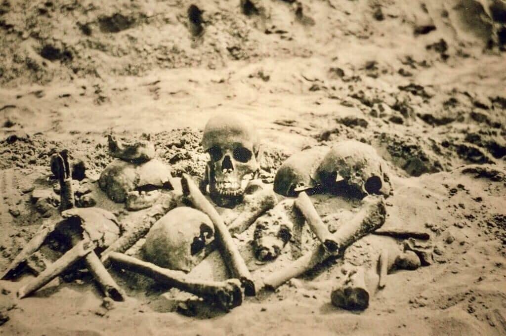 human skull and bones in dirt
