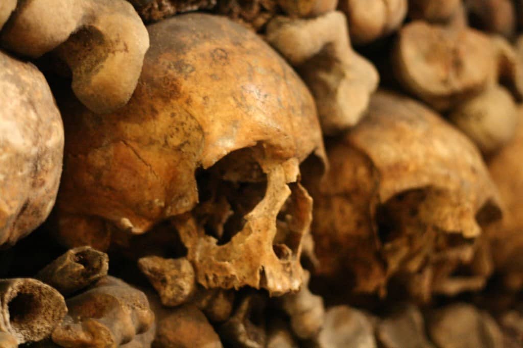 photo of skulls and bones in catacombs
