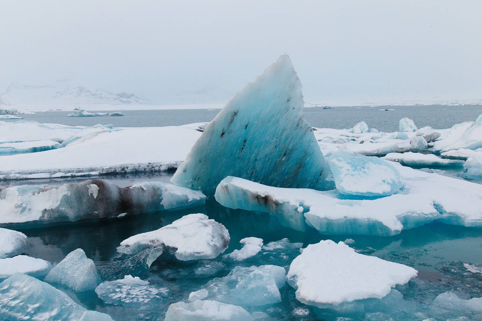 photo of icebergs