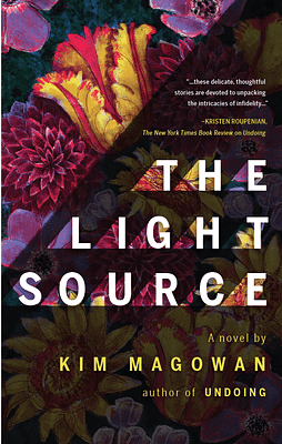 The Light Source book cover