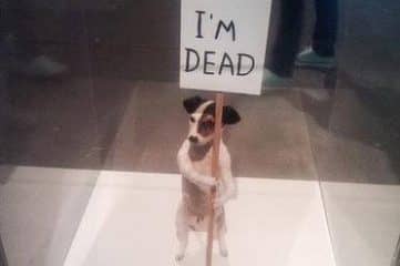 photo of small dog holding sign that says "I'm dead"