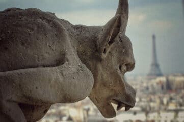 photo of gargoyle in Paris