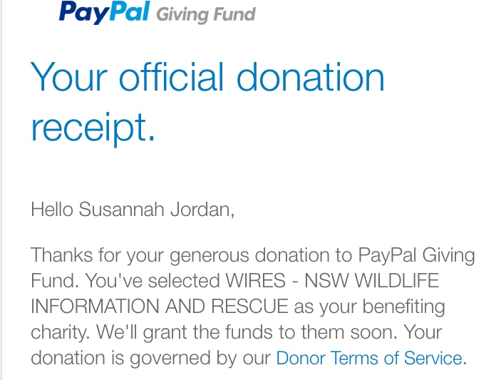 screenshot of $35 WIRES donation receipt